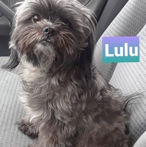 Meet your Posher, Nelson